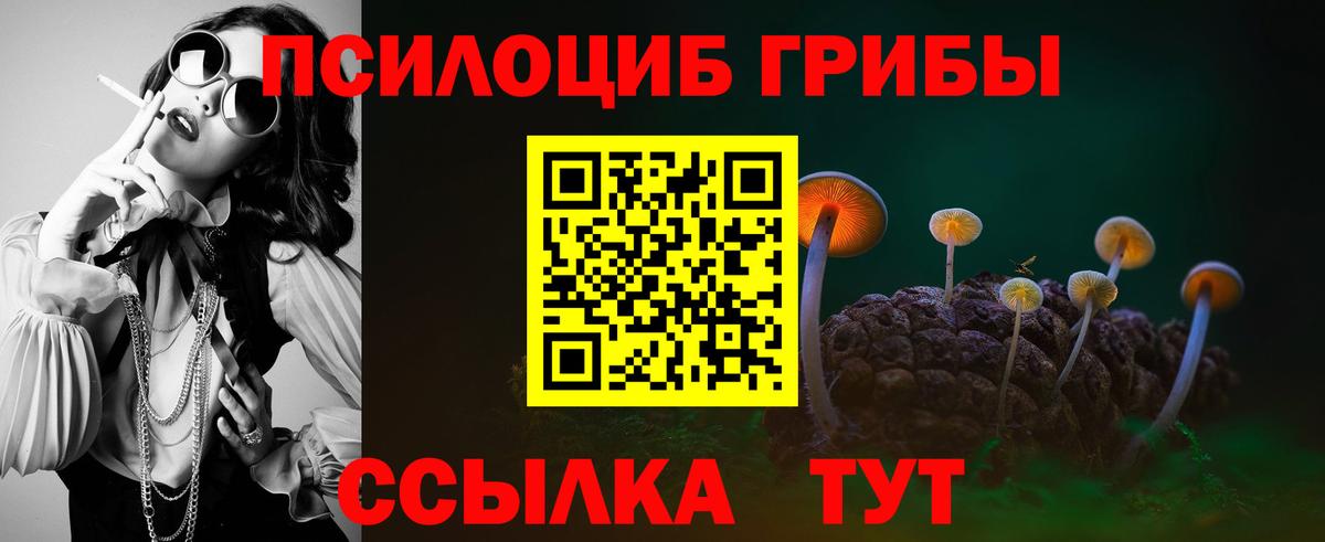 Псилоцибиновые грибы прущие грибы  Вход с VPN  Реутов 