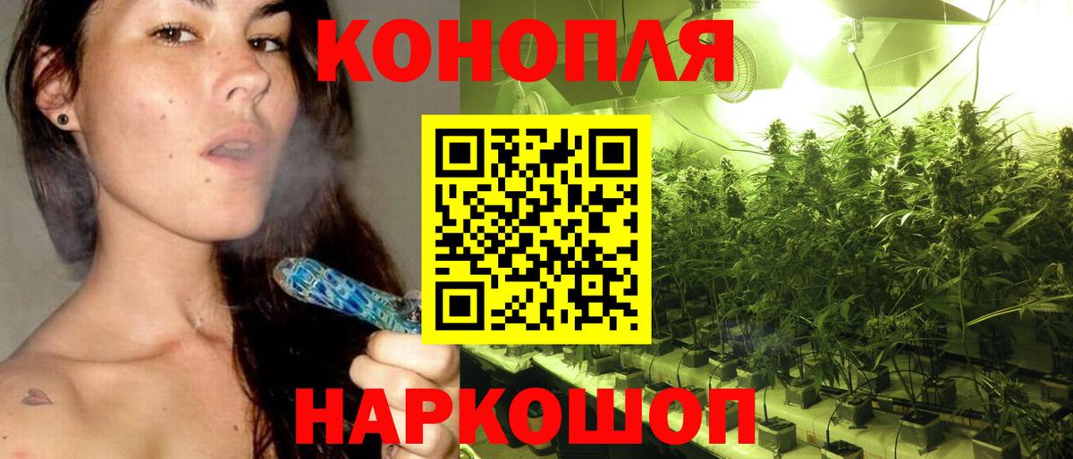 Конопля MAZAR Реутов